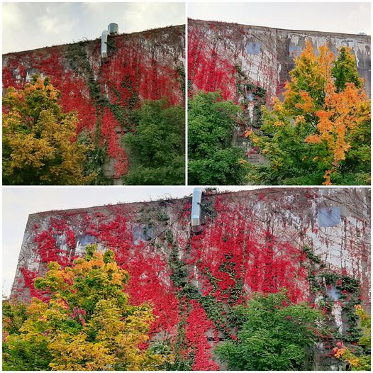 Herbst im Club